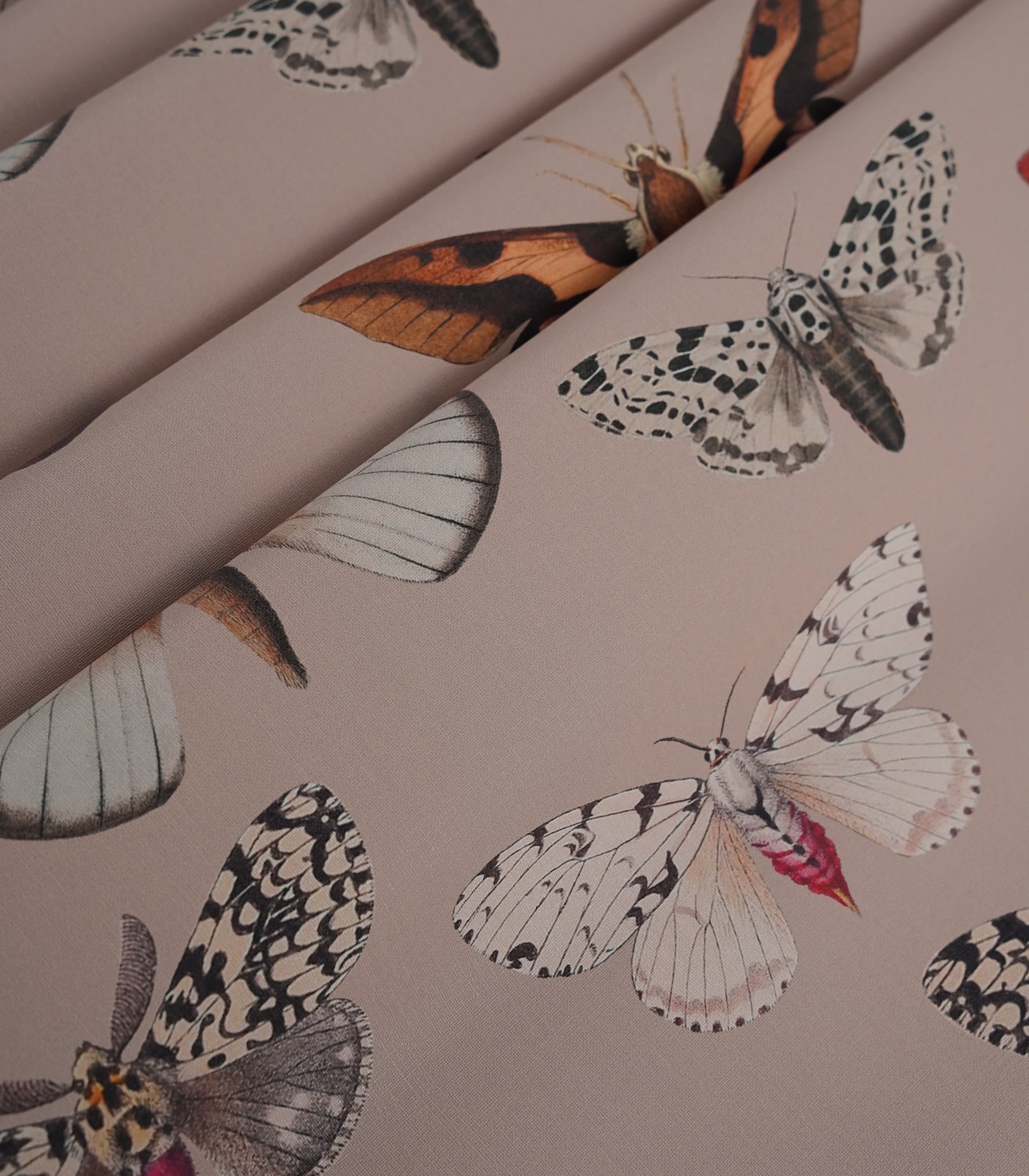 Tapete Colorful Butterfly Pink