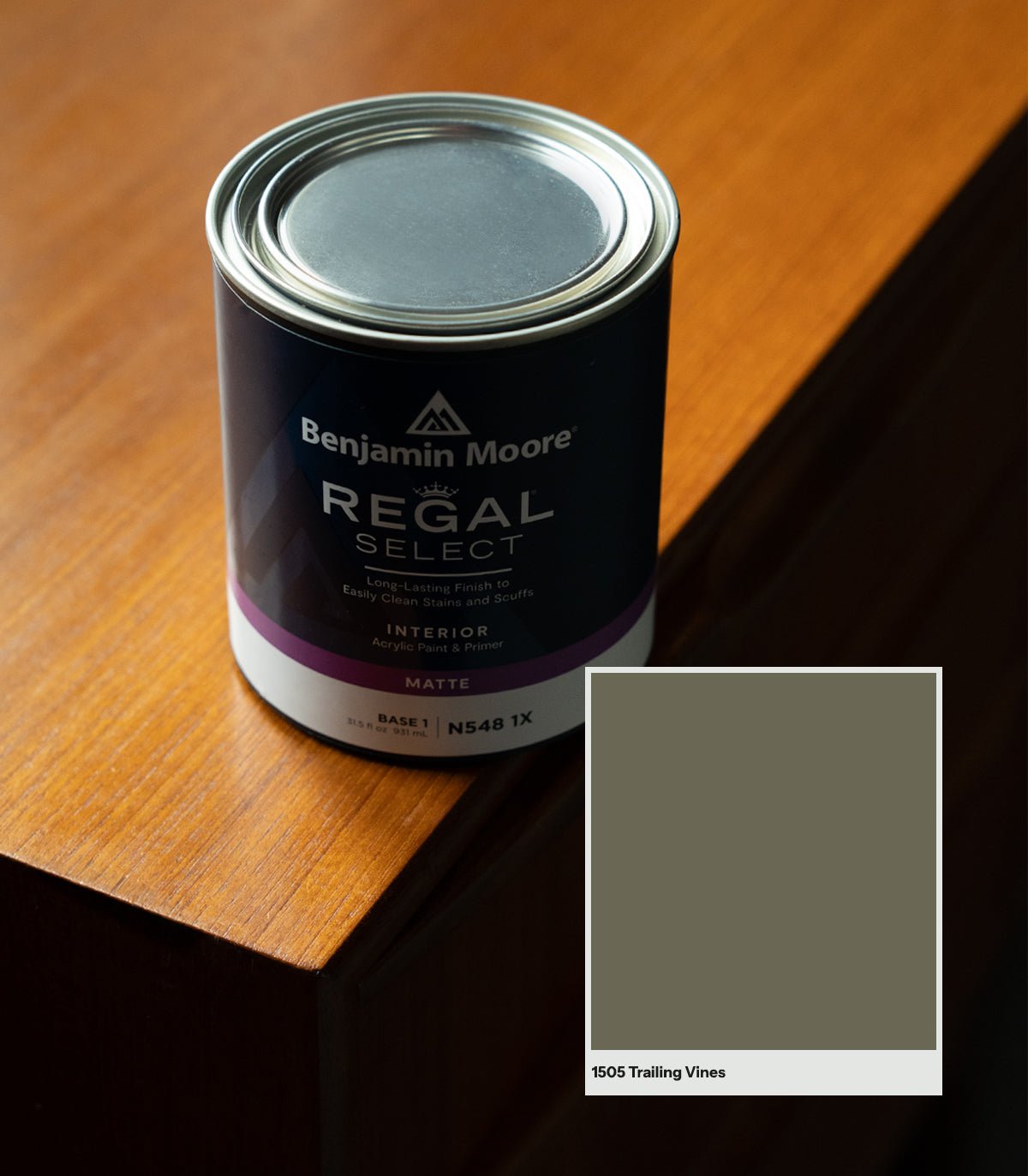 Trailing Vines 1505 - Wallcolors®
