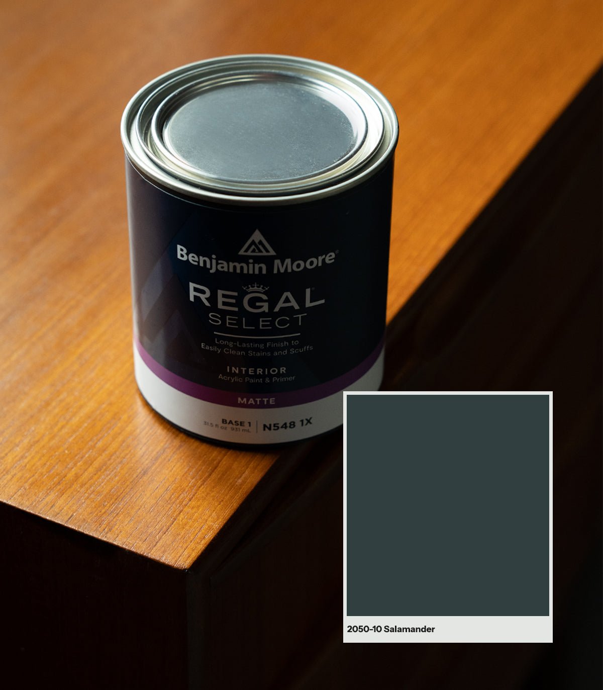 Salamander 2050 - 10 - Wallcolors®