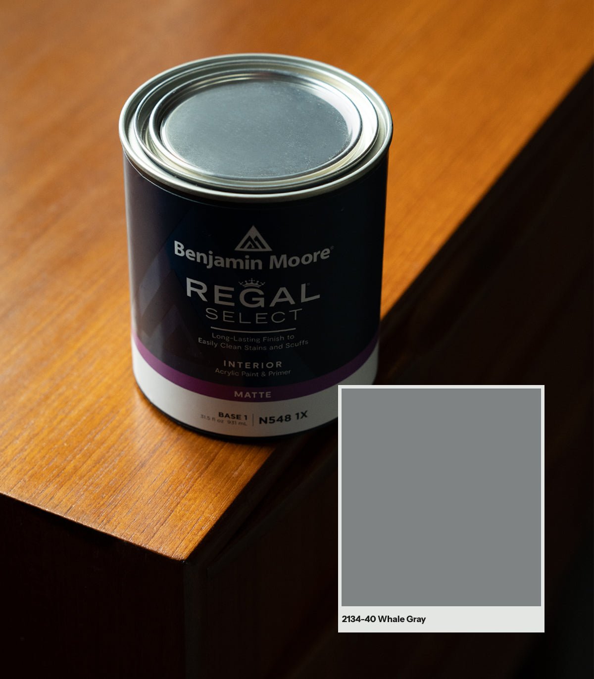 Whale Gray 2134 - 40 - Wallcolors®