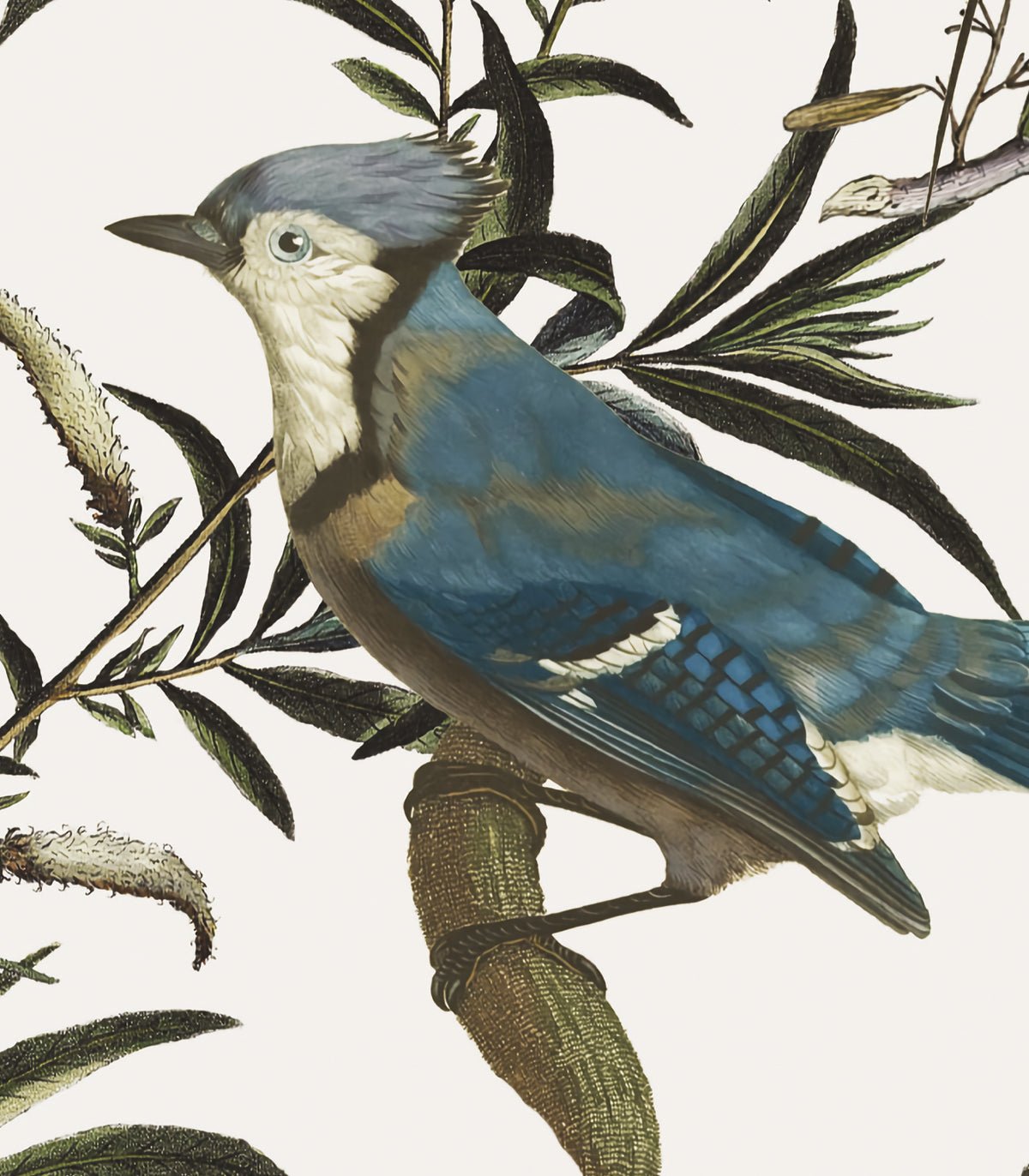Tapeta Birds in Garden Ecri - Wallcolors®