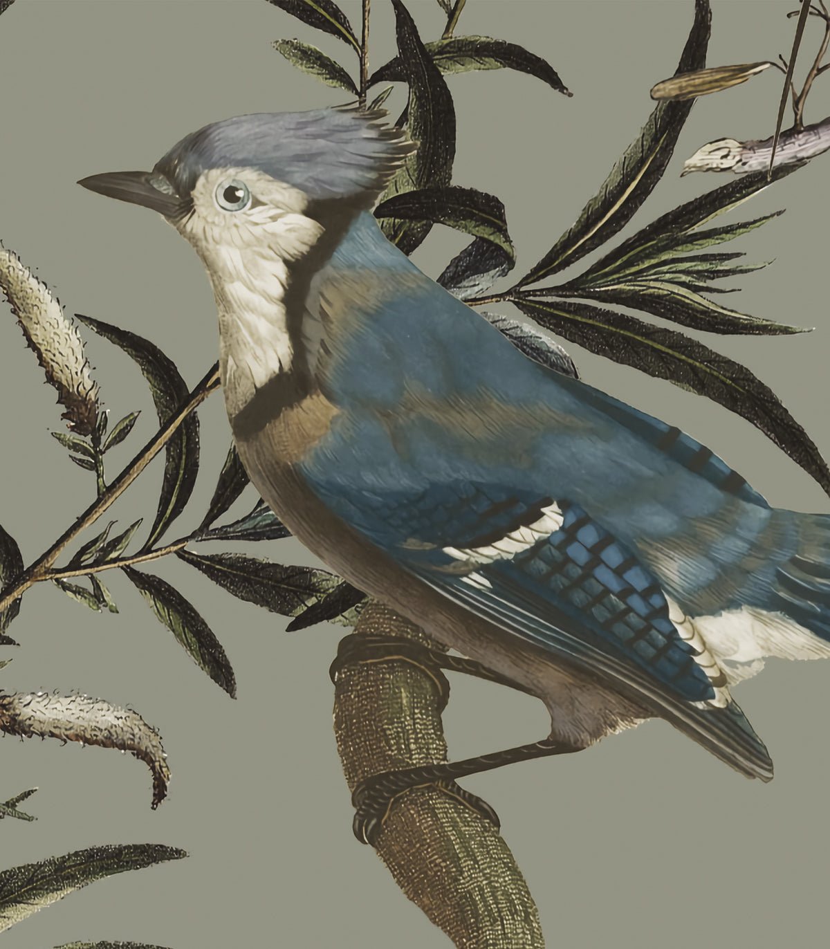 Tapeta Birds in Garden - Wallcolors®