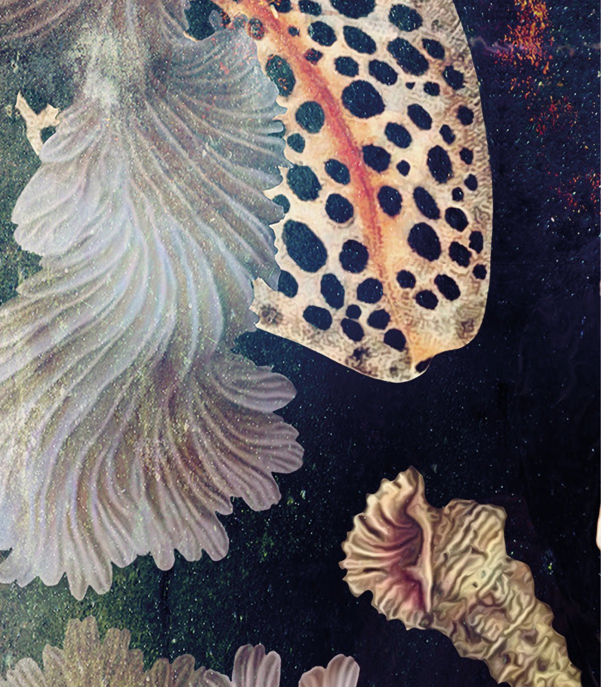 Tapeta Black Sea - Wallcolors®