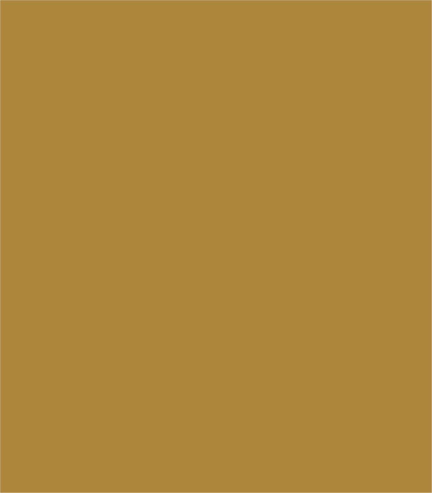 Arch Solid Bold Accents - Wallcolors®
