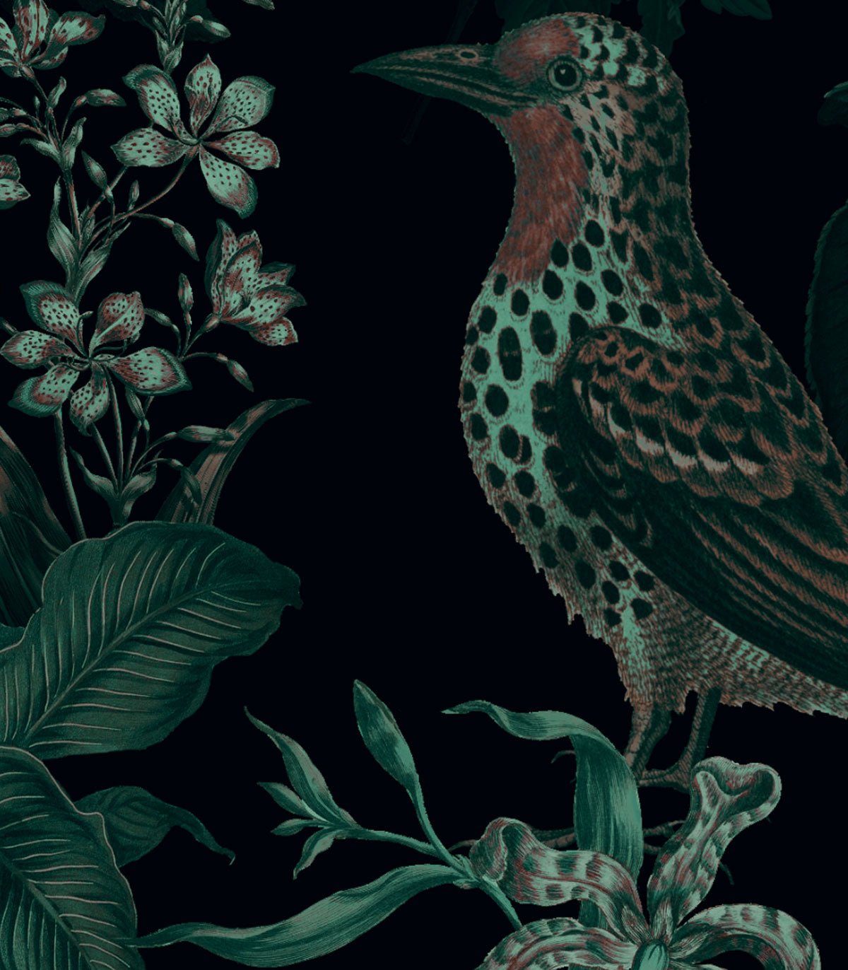 Tapeta Botanic Green - Wallcolors®