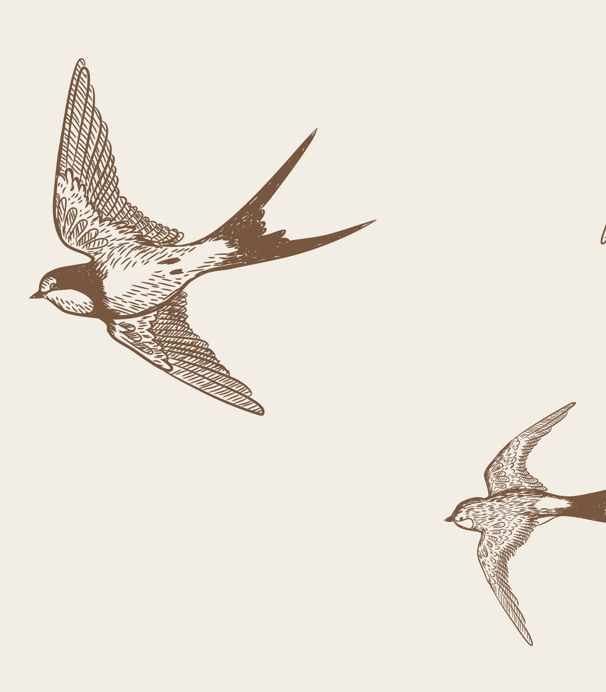 Tapeta Brown Swallow - Wallcolors®