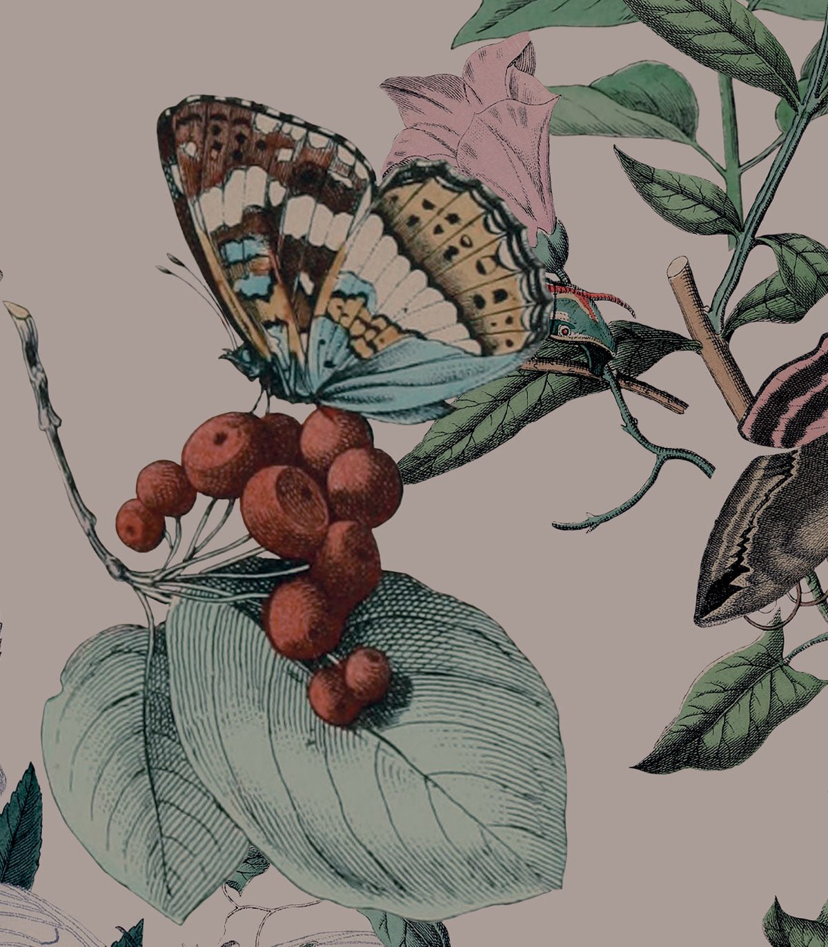 Tapeta Butterfly Rowan Pink - Wallcolors®
