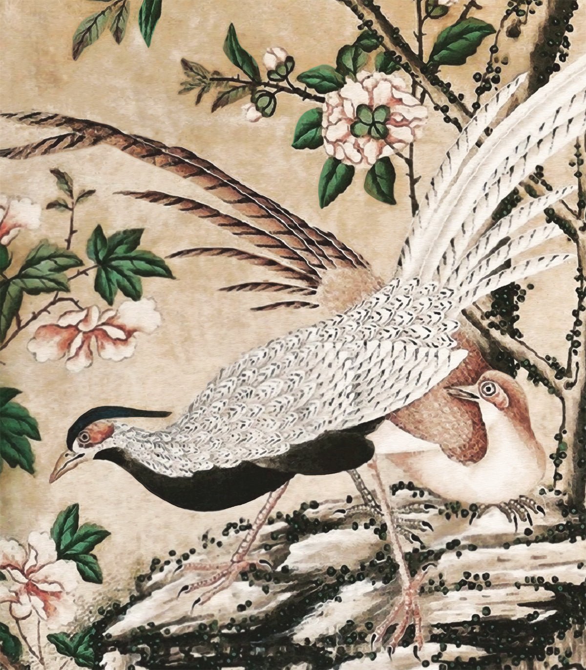 Tapeta Chinoiserie - Wallcolors®