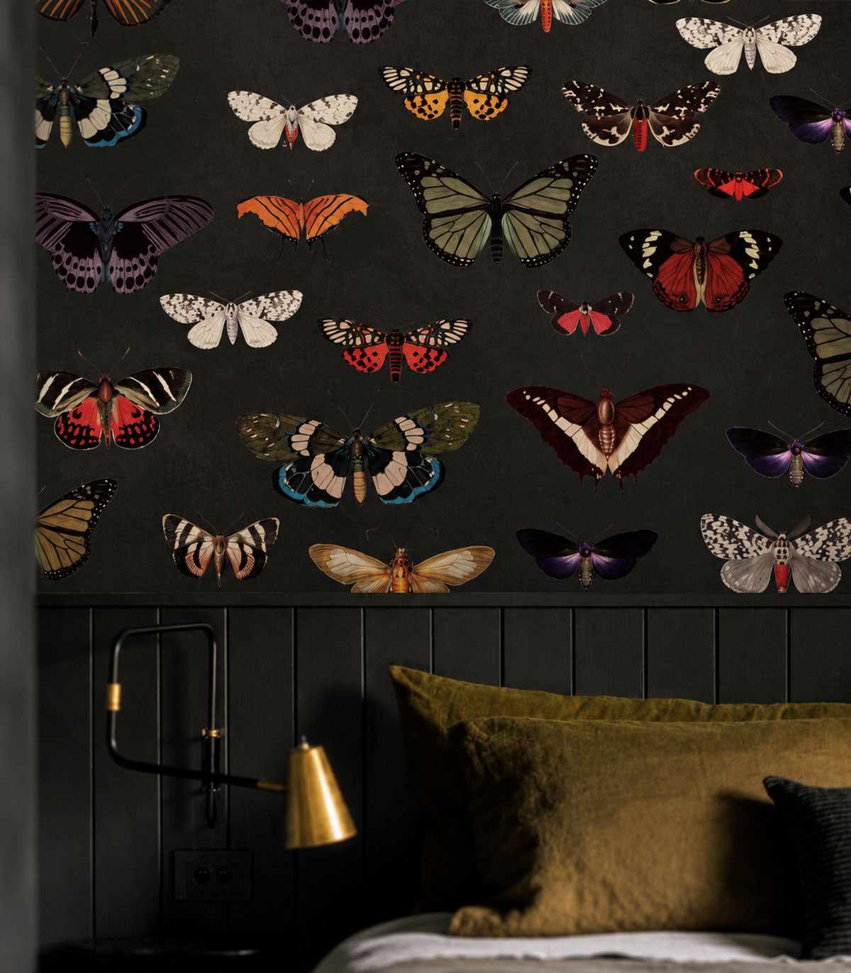Wallpaper Colorful Butterfly Green