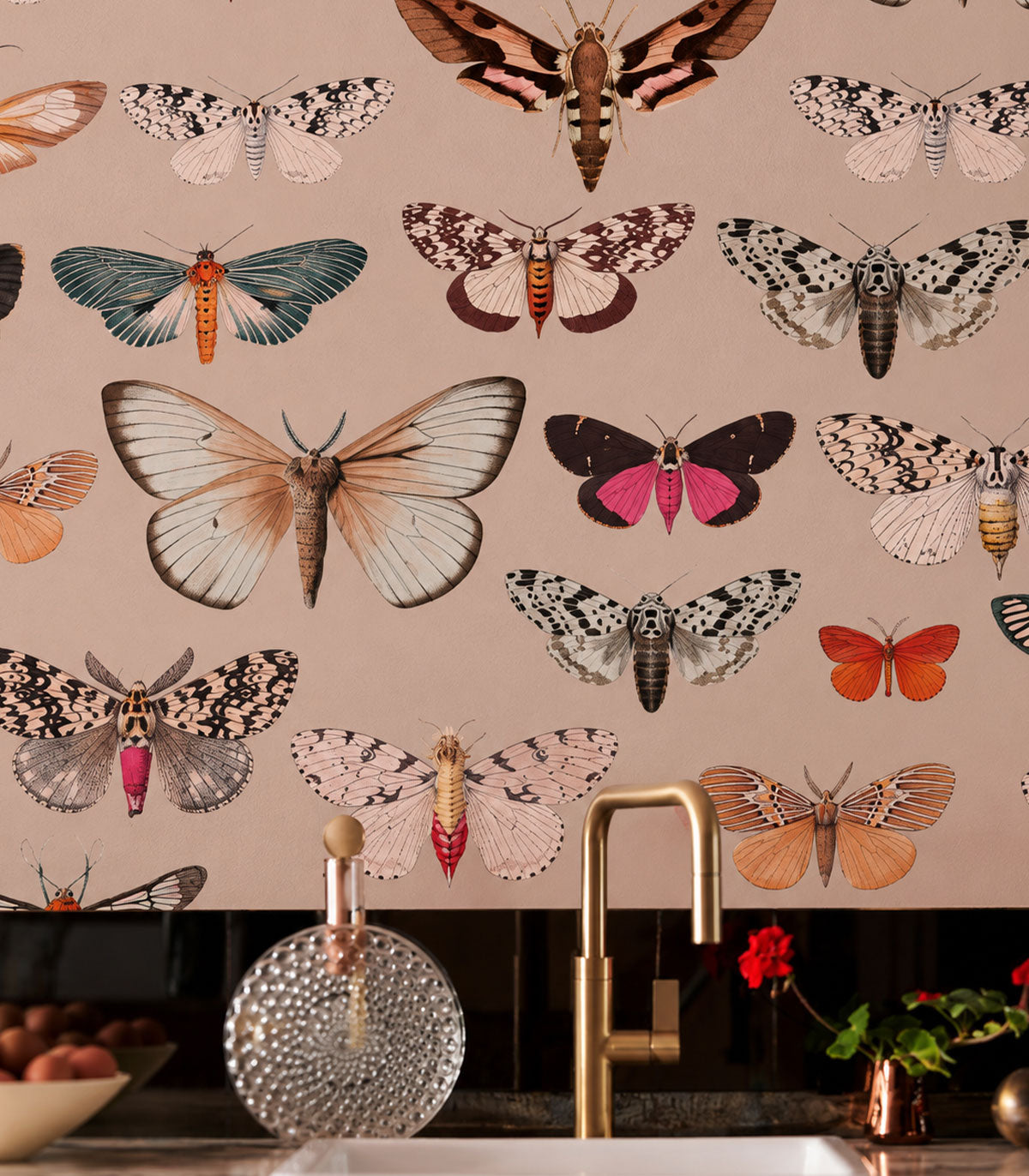 Wallpaper Colorful Butterfly Pink
