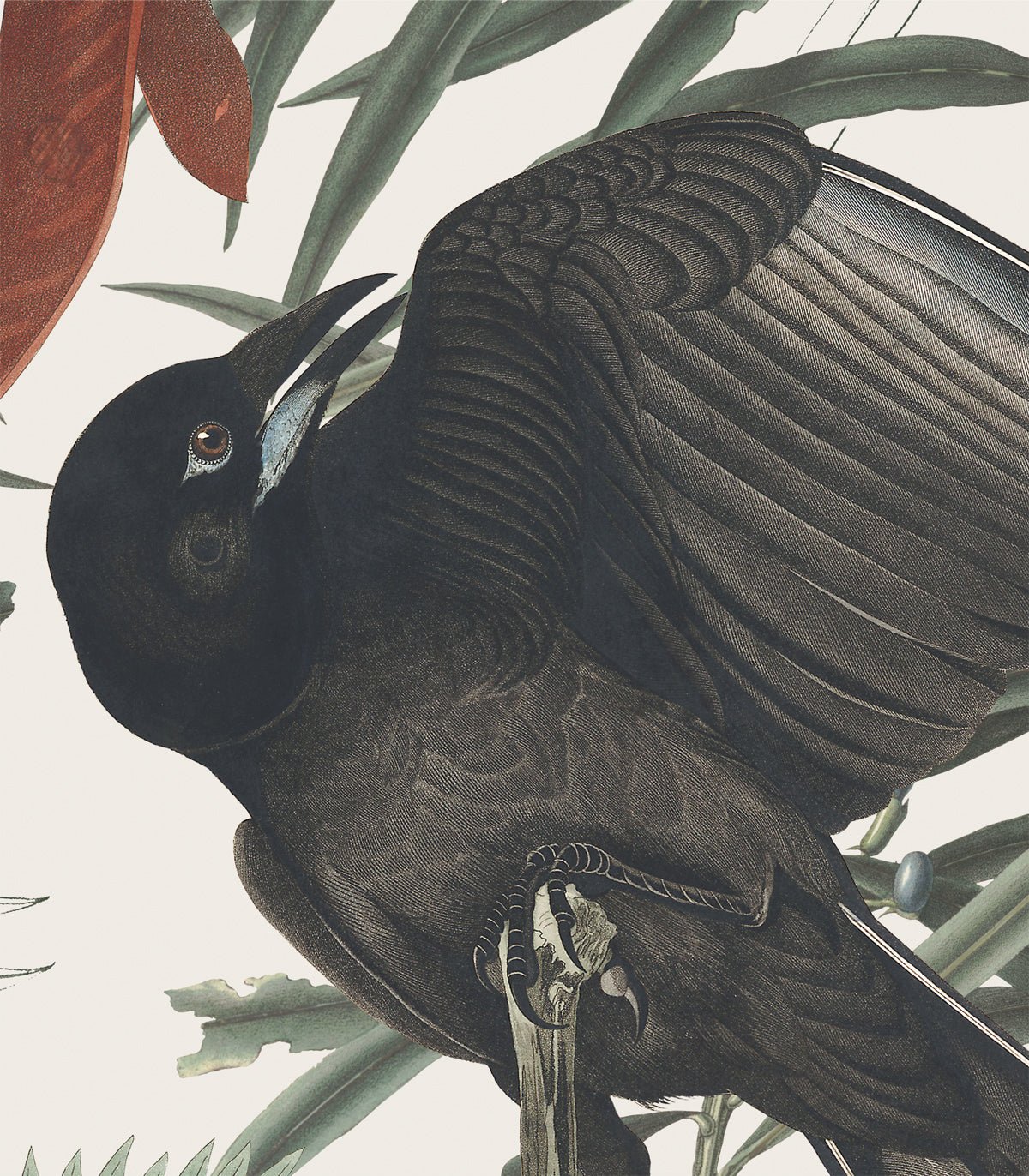 Tapeta Crows - Wallcolors®