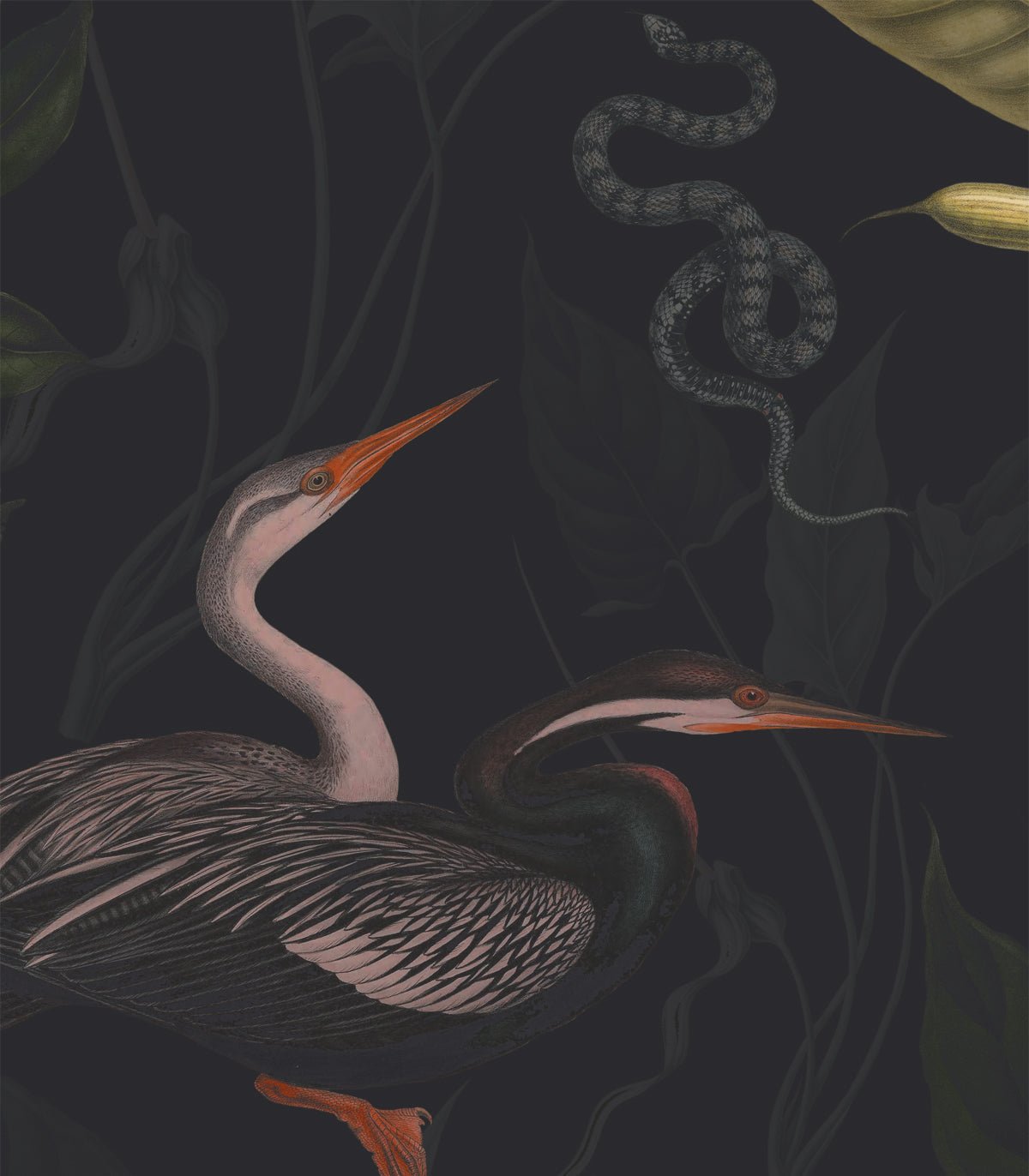 Tapeta Dark Heron - Wallcolors®