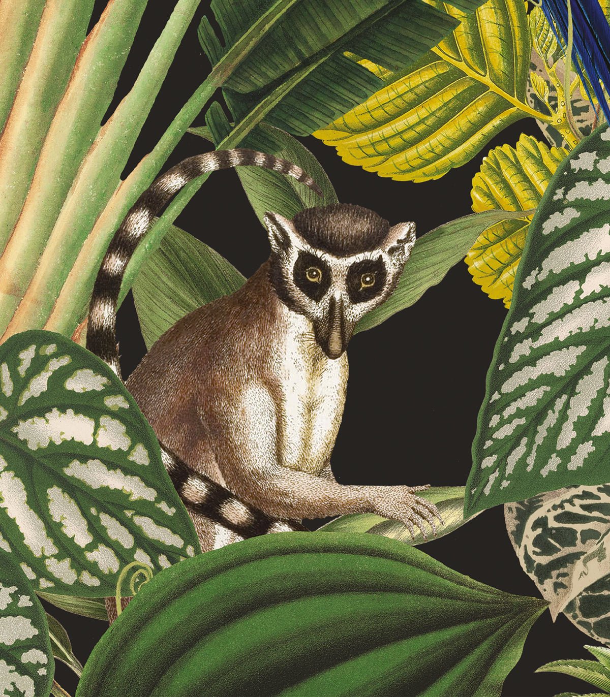 Tapeta Dark Jungle - Wallcolors®