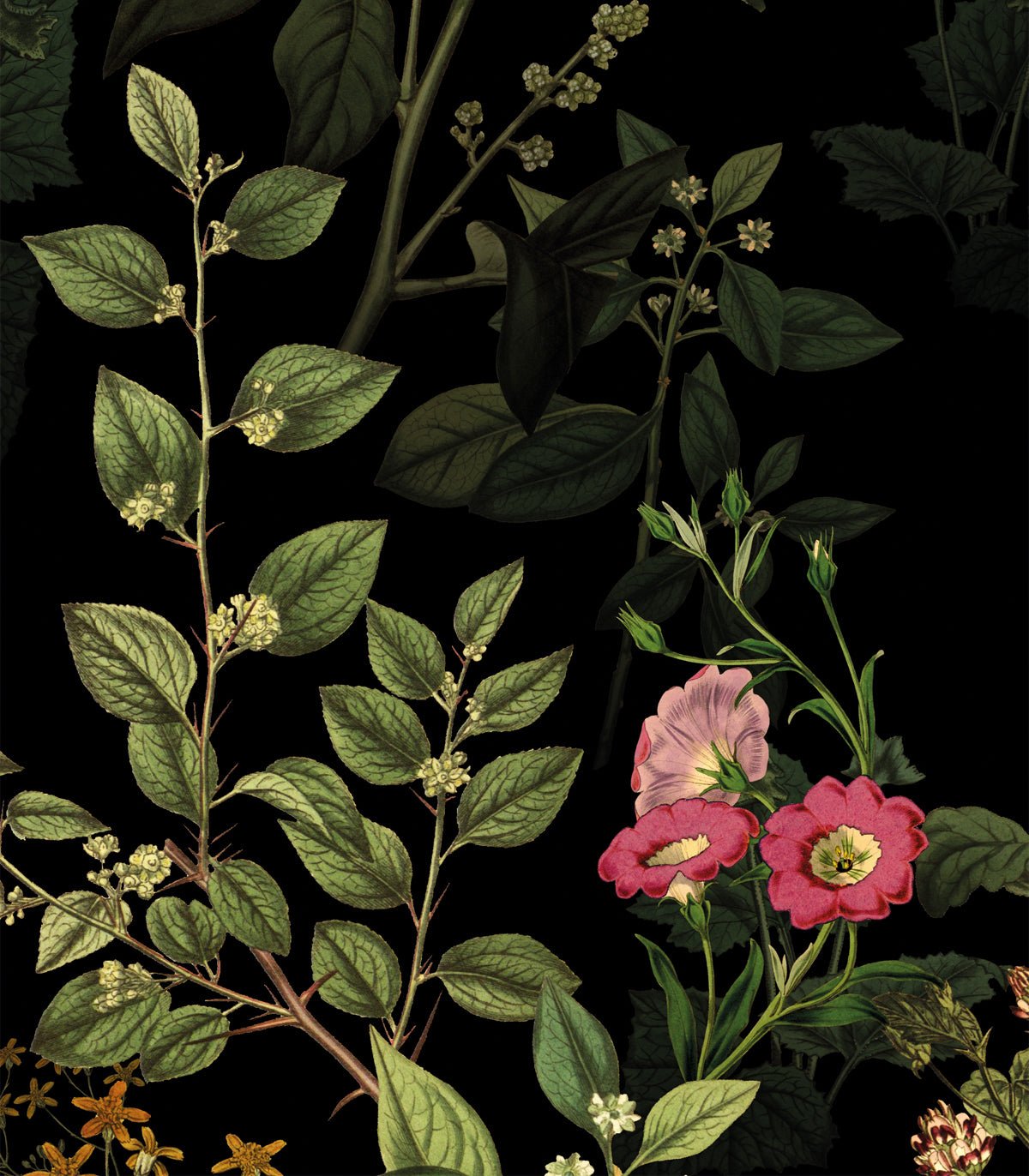 Tapeta Dark Meadow - Wallcolors®