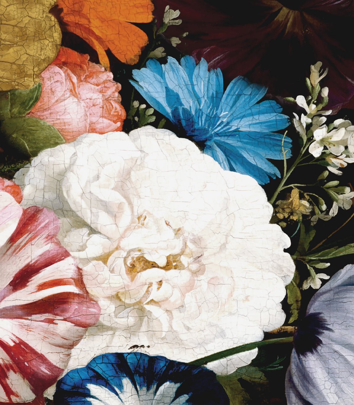 Tapeta Floral Color - Wallcolors®