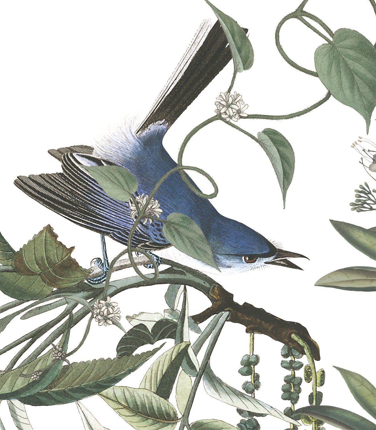 Tapeta Flying Birds - Wallcolors®