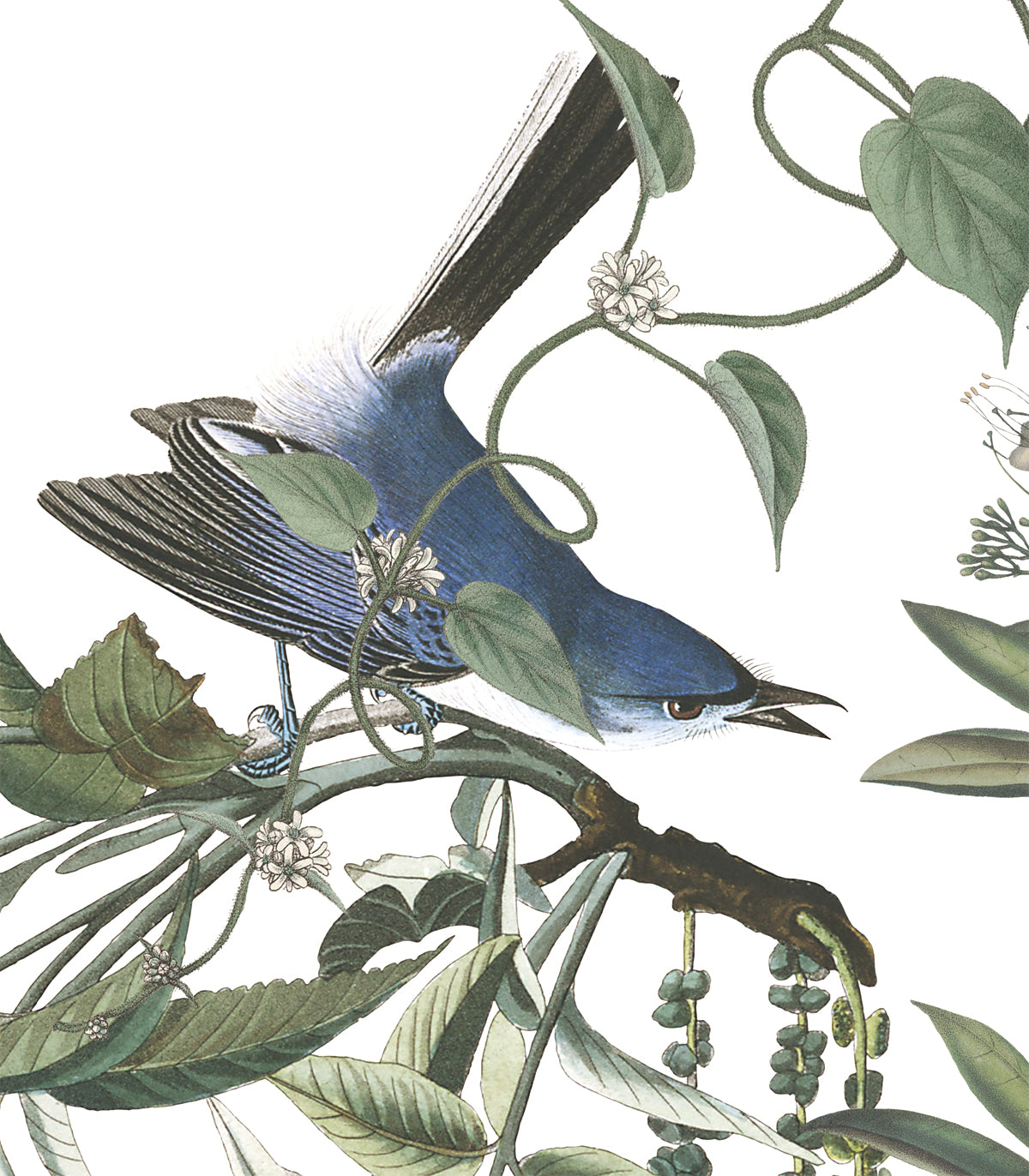 Flying Birds Wallpaper