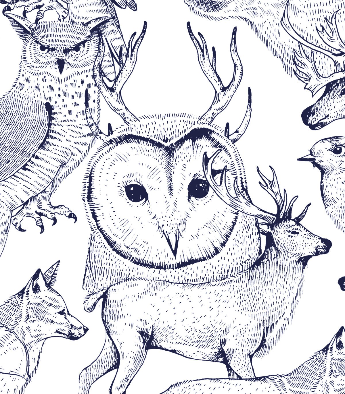 Tapeta Forest Friends - Wallcolors®