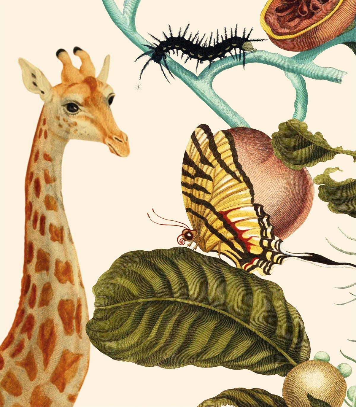 Tapeta Funny Jungle - Wallcolors®