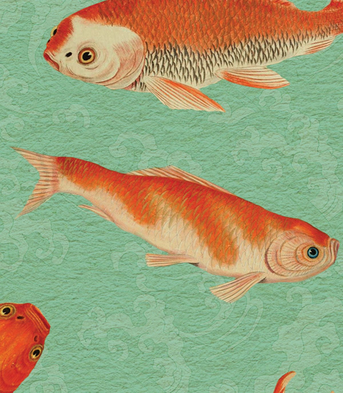Tapeta Koi - Wallcolors®