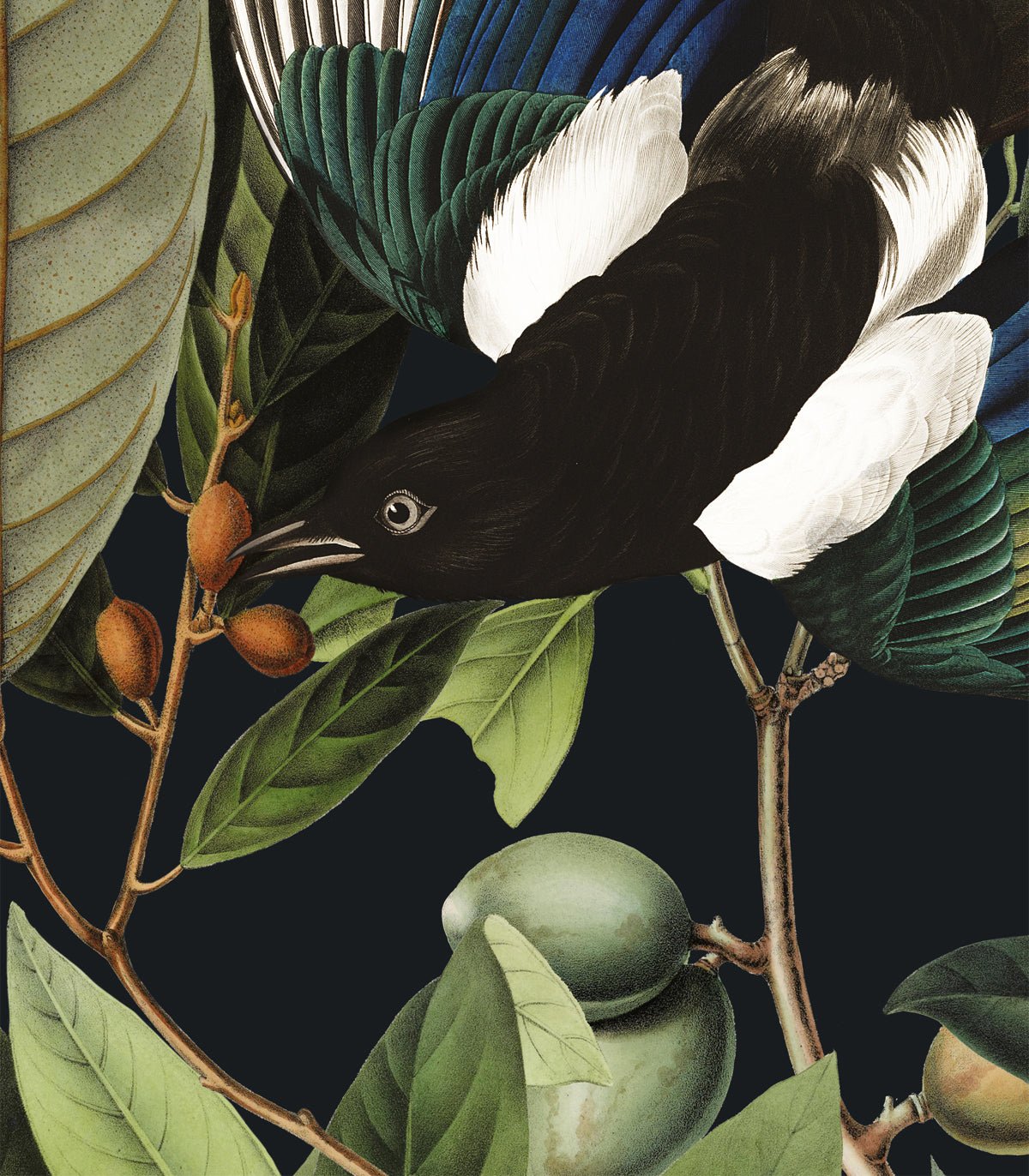 Tapeta Magpie Black - Wallcolors®