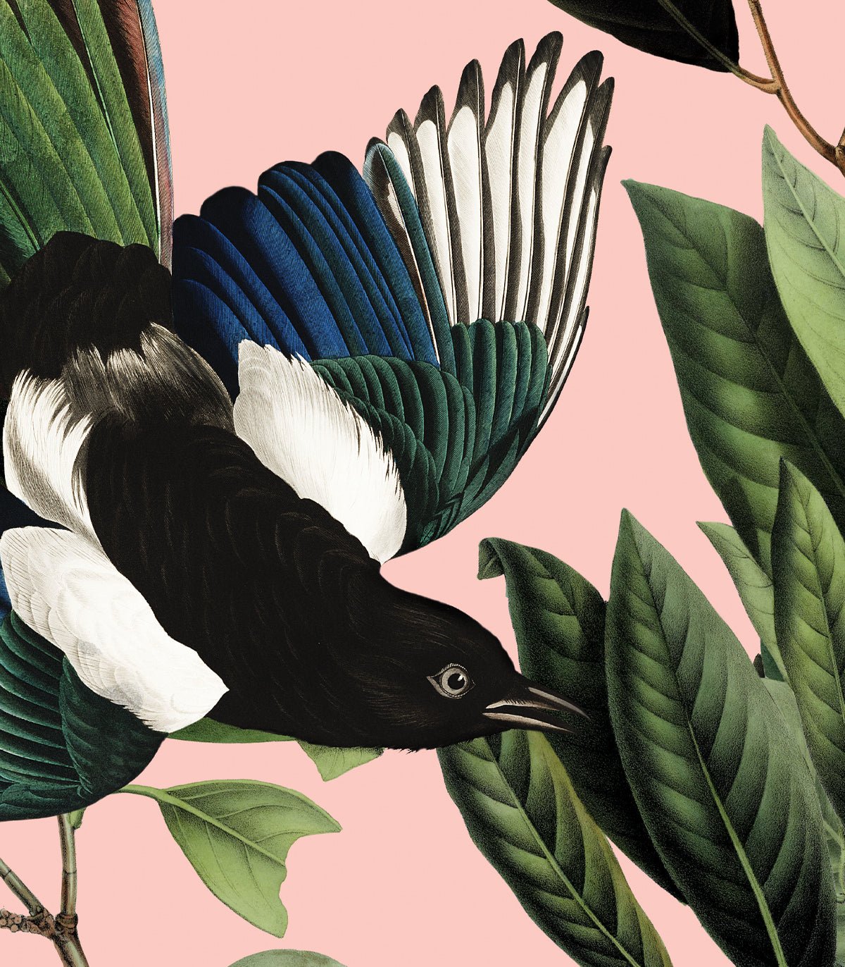 Dots Magpie Pink - Wallcolors®