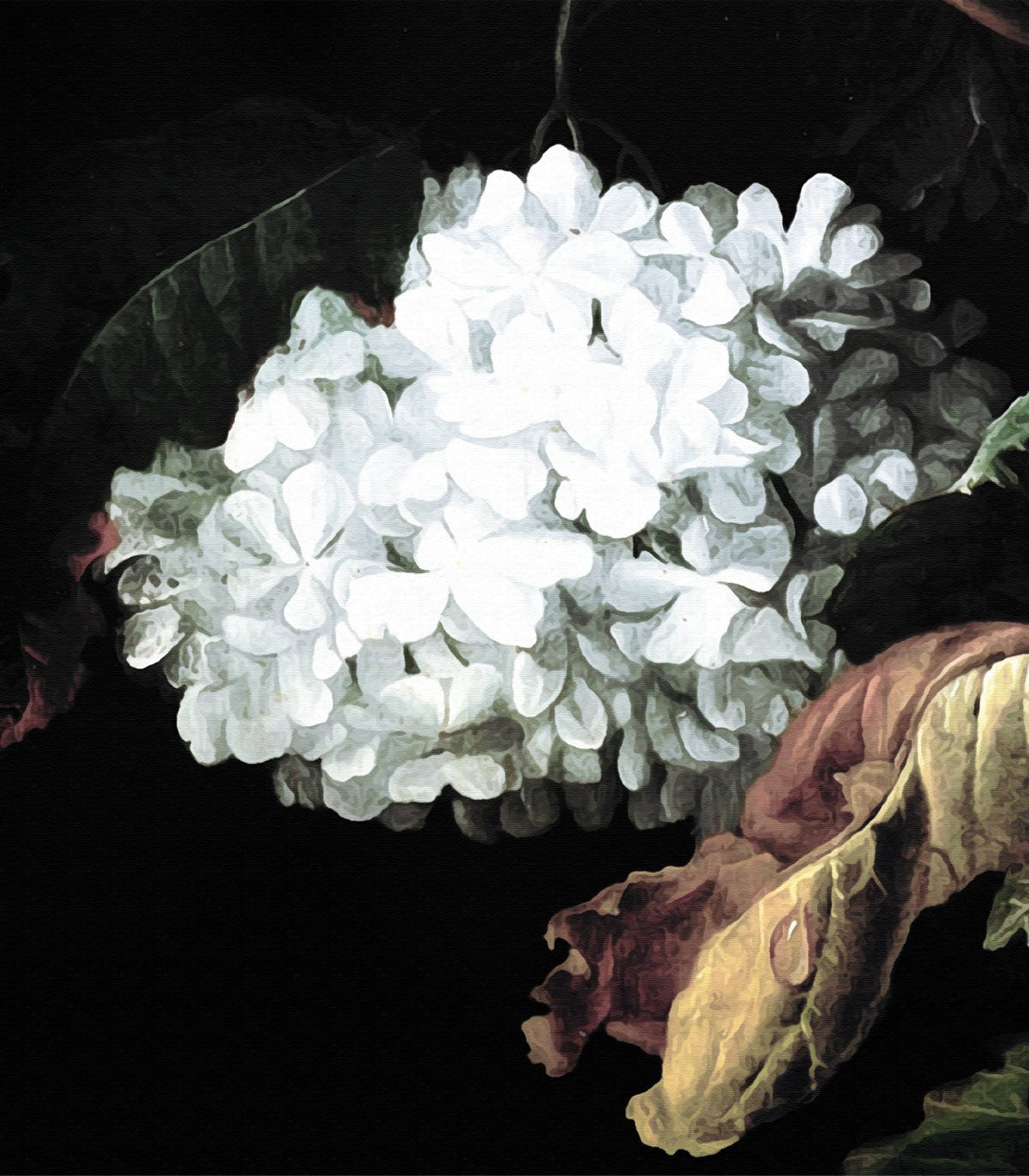 Tapeta Midnight Flowers - Wallcolors®