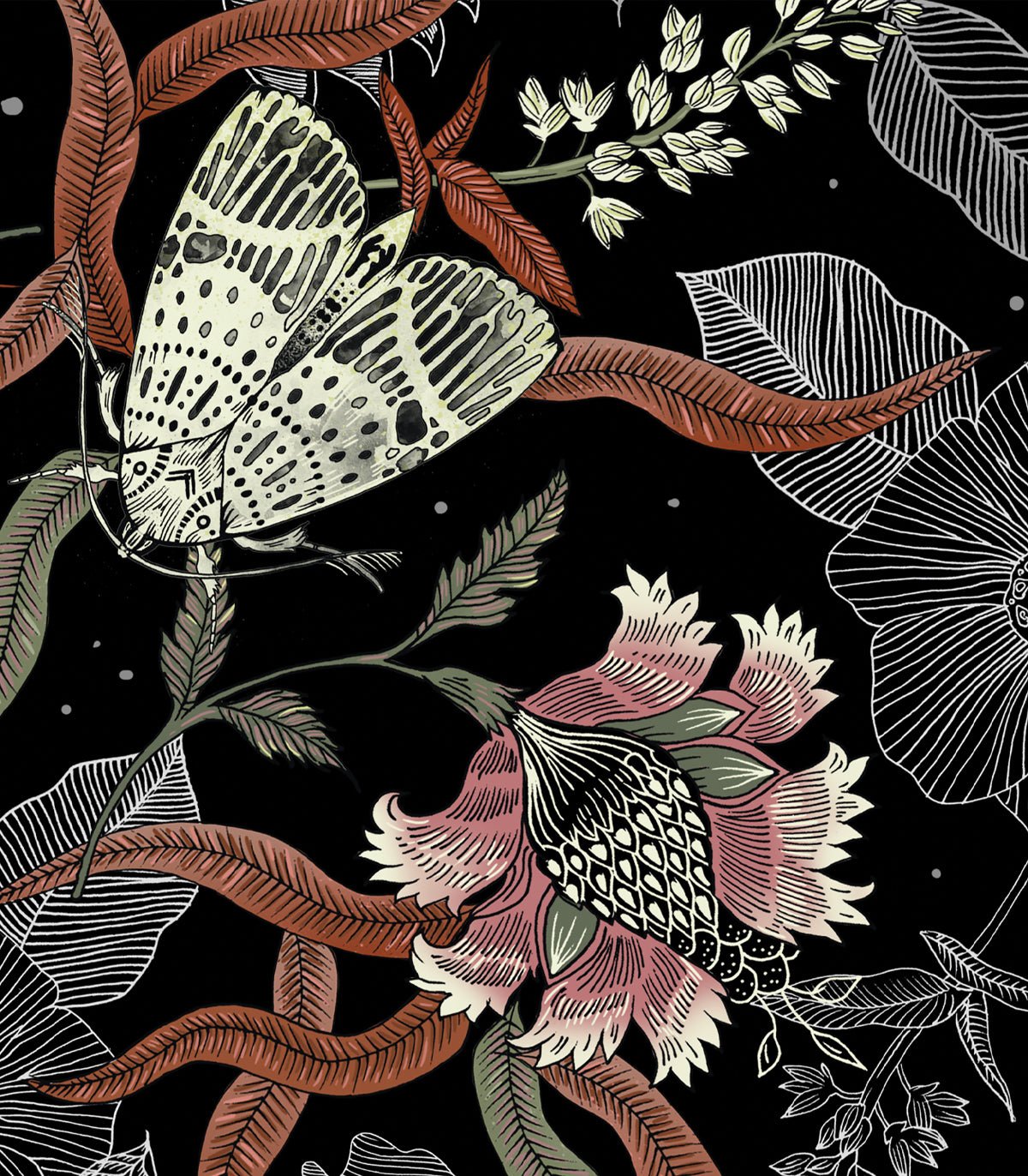 Tapeta Moth - Wallcolors®