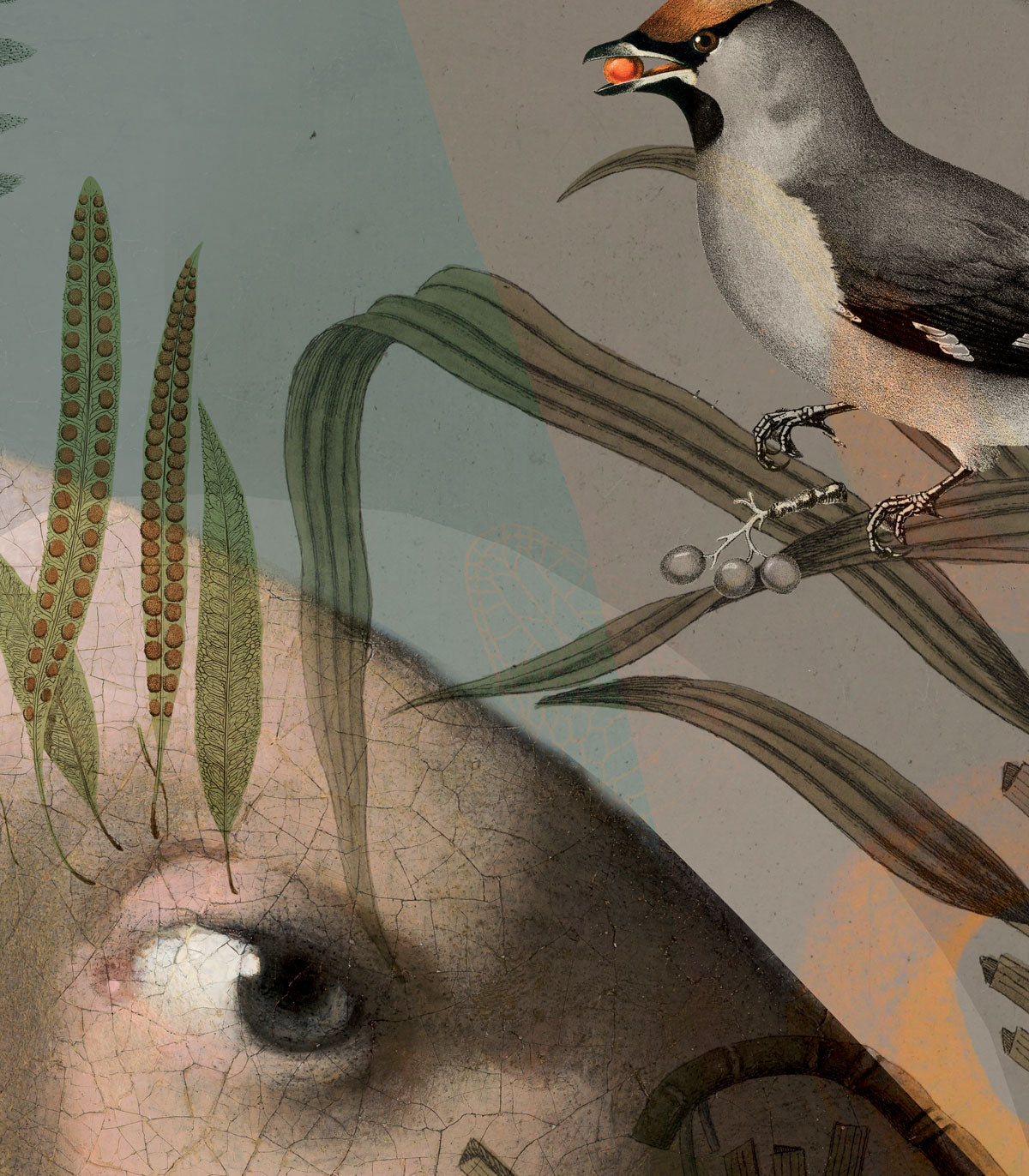 Wallpaper Nature girl with the pearl