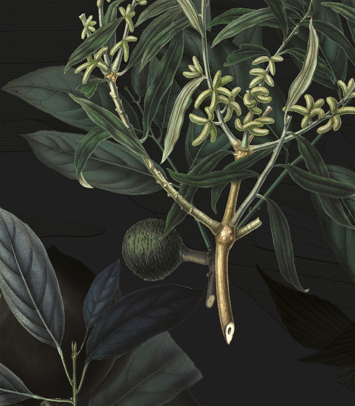 Tapeta Olive Branch Green - Wallcolors®