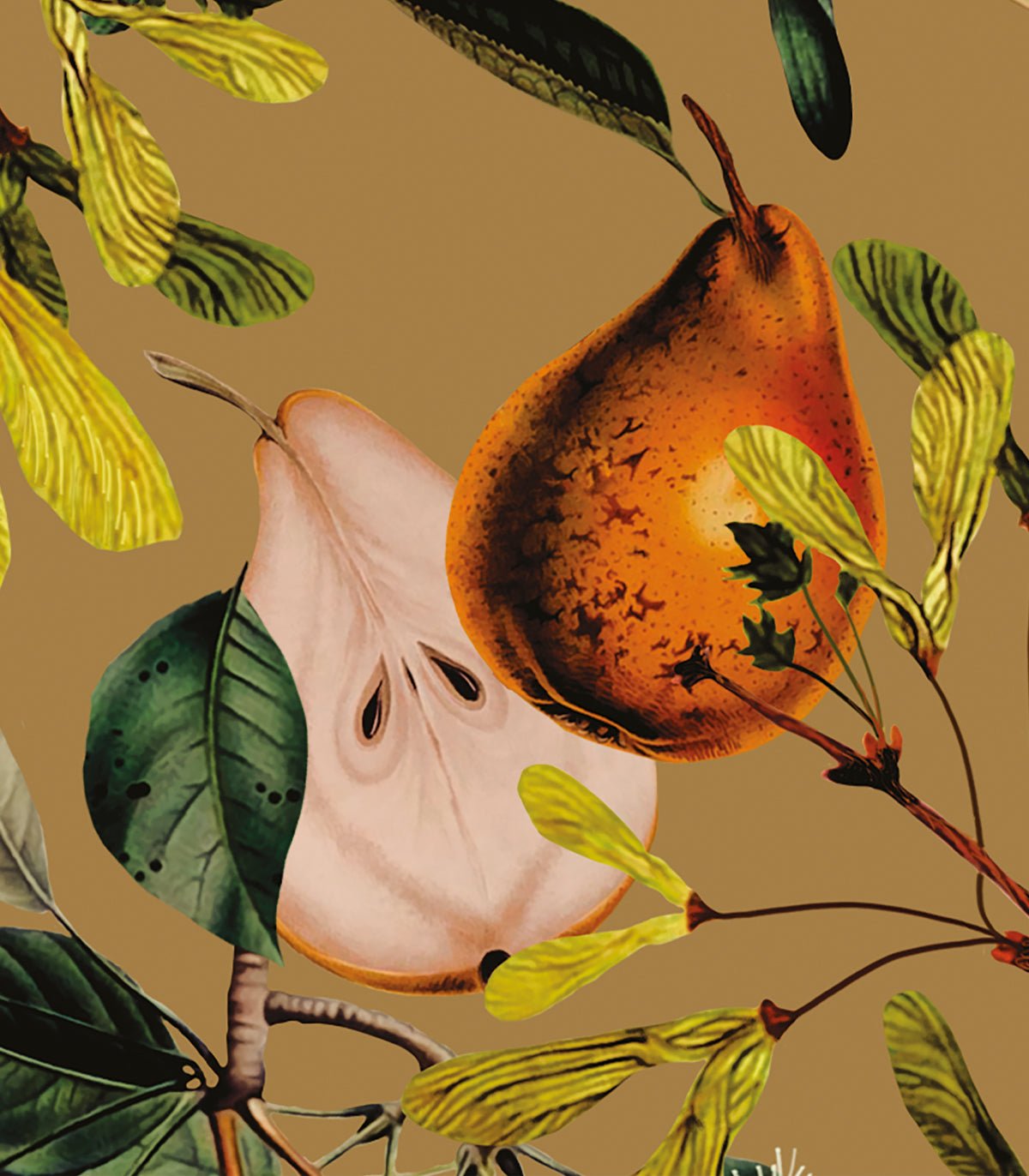 Tapeta Pear Beige - Wallcolors®