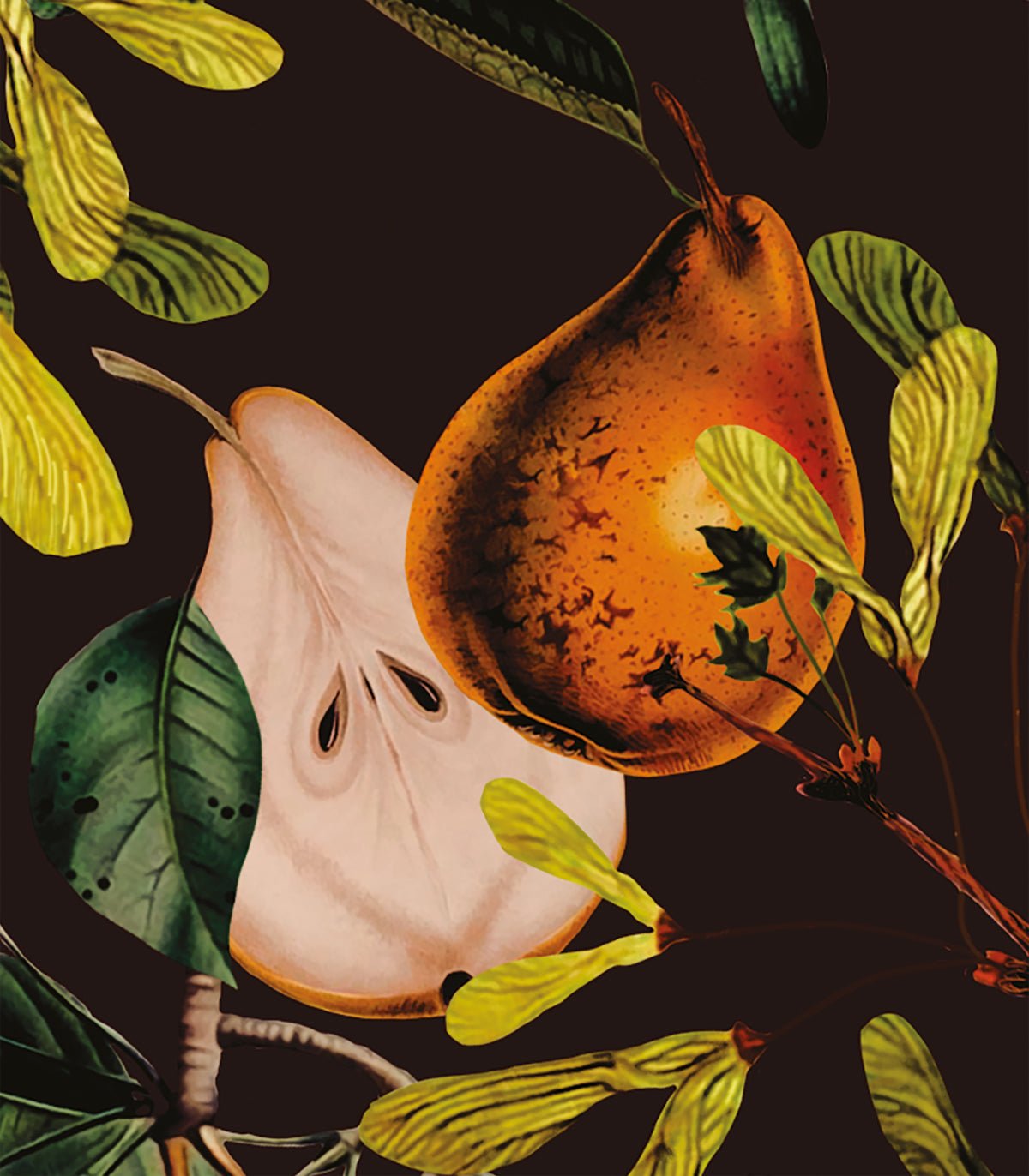 Tapeta Pear Maroon - Wallcolors®