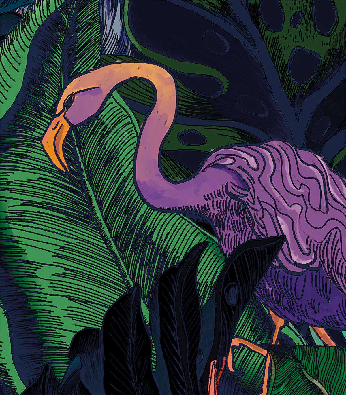 Tapeta Pelicans - Wallcolors®