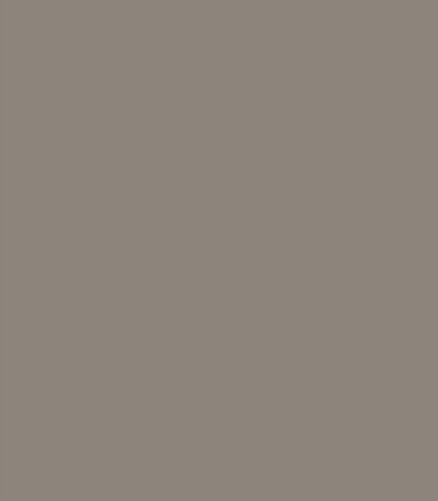 Arch Solid Powdered Earth - Wallcolors®
