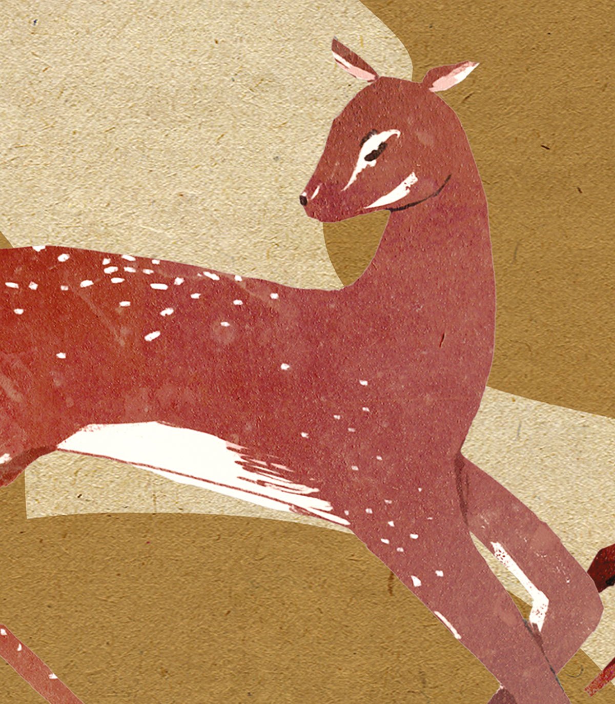 Tapeta Roe deer - Wallcolors®
