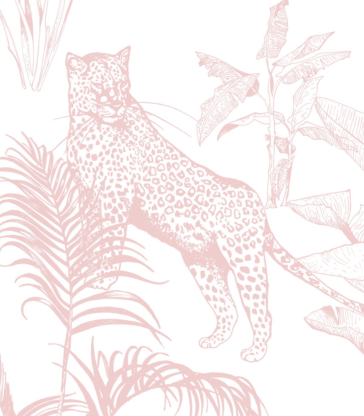 Tapeta Safari Pink - Wallcolors®