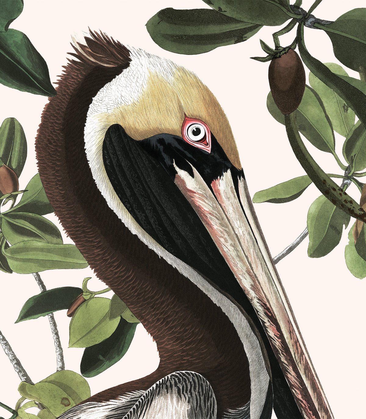 Tapeta Spring Pelicans - Wallcolors®