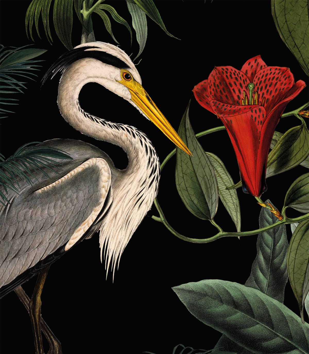 Tapeta Standing Heron - Wallcolors®