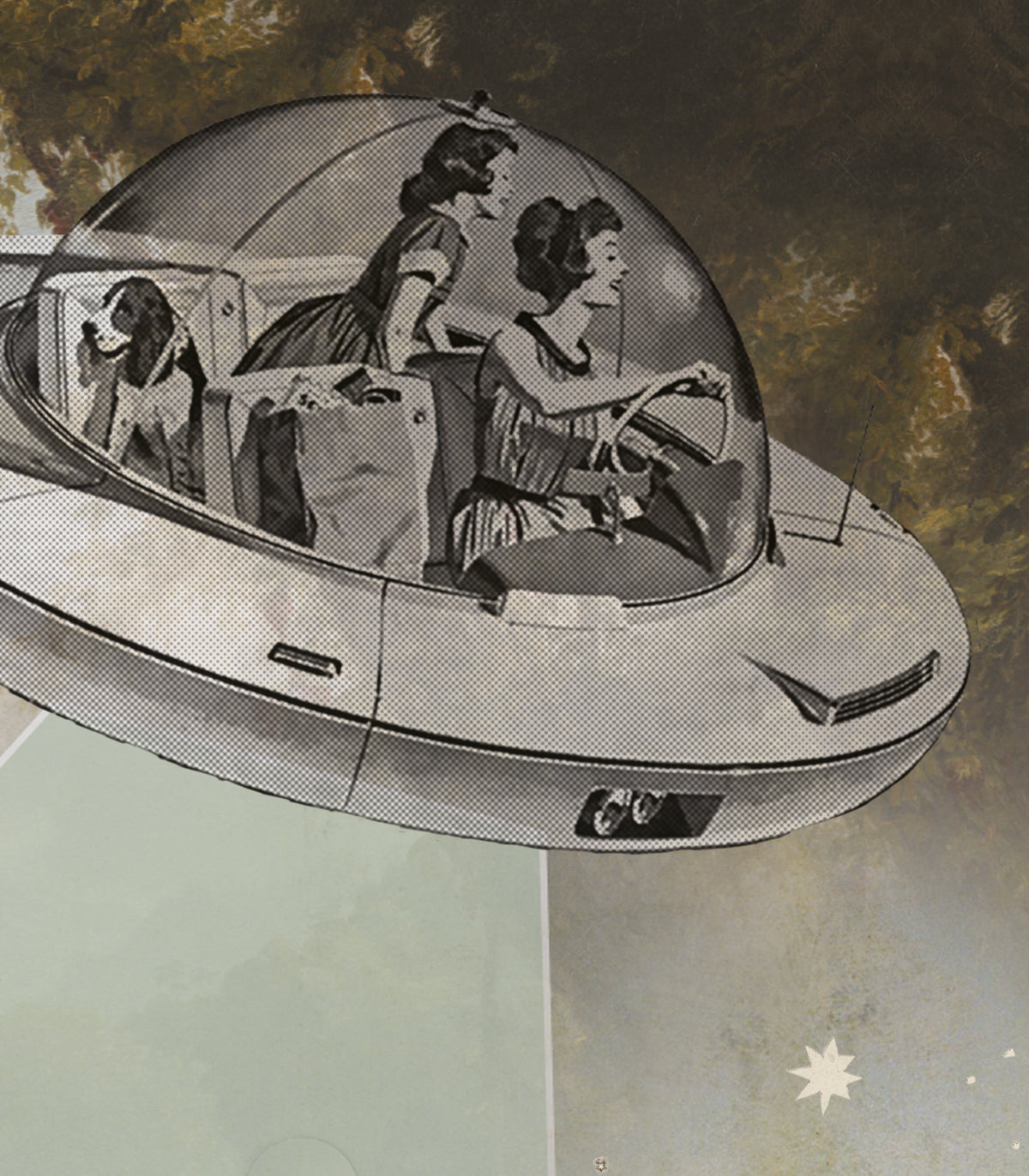 Arch Stardust safari