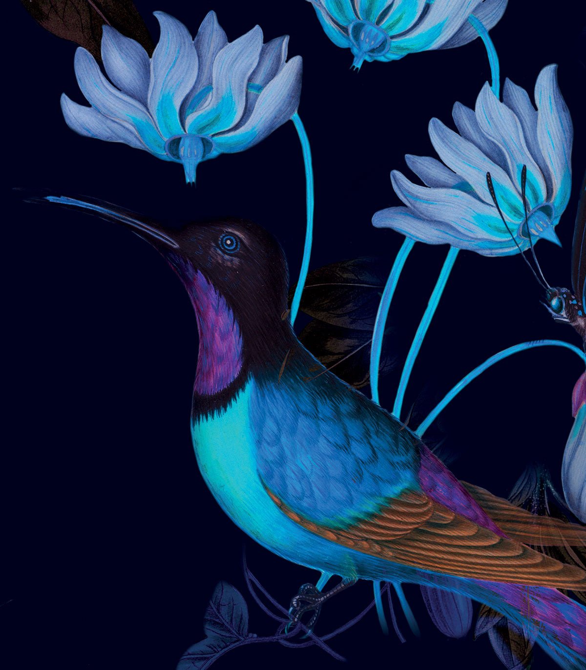 Dots Toxic Hummingbirds - Wallcolors®
