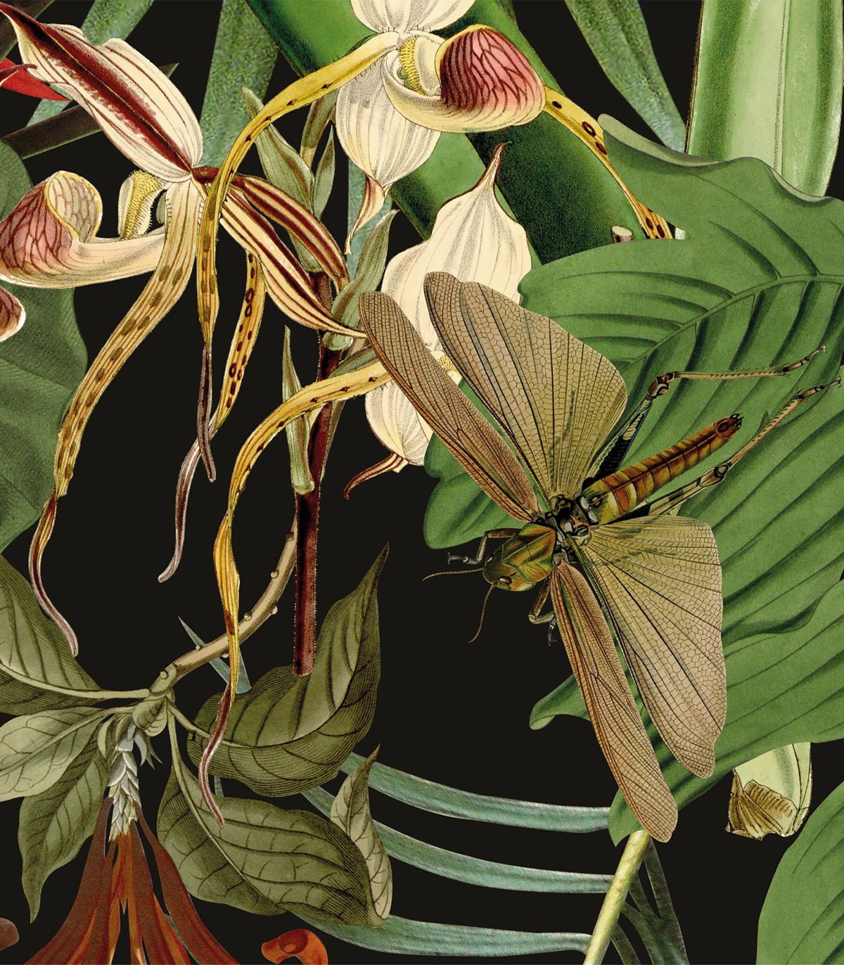 Tapeta Tropical Composition - Wallcolors®