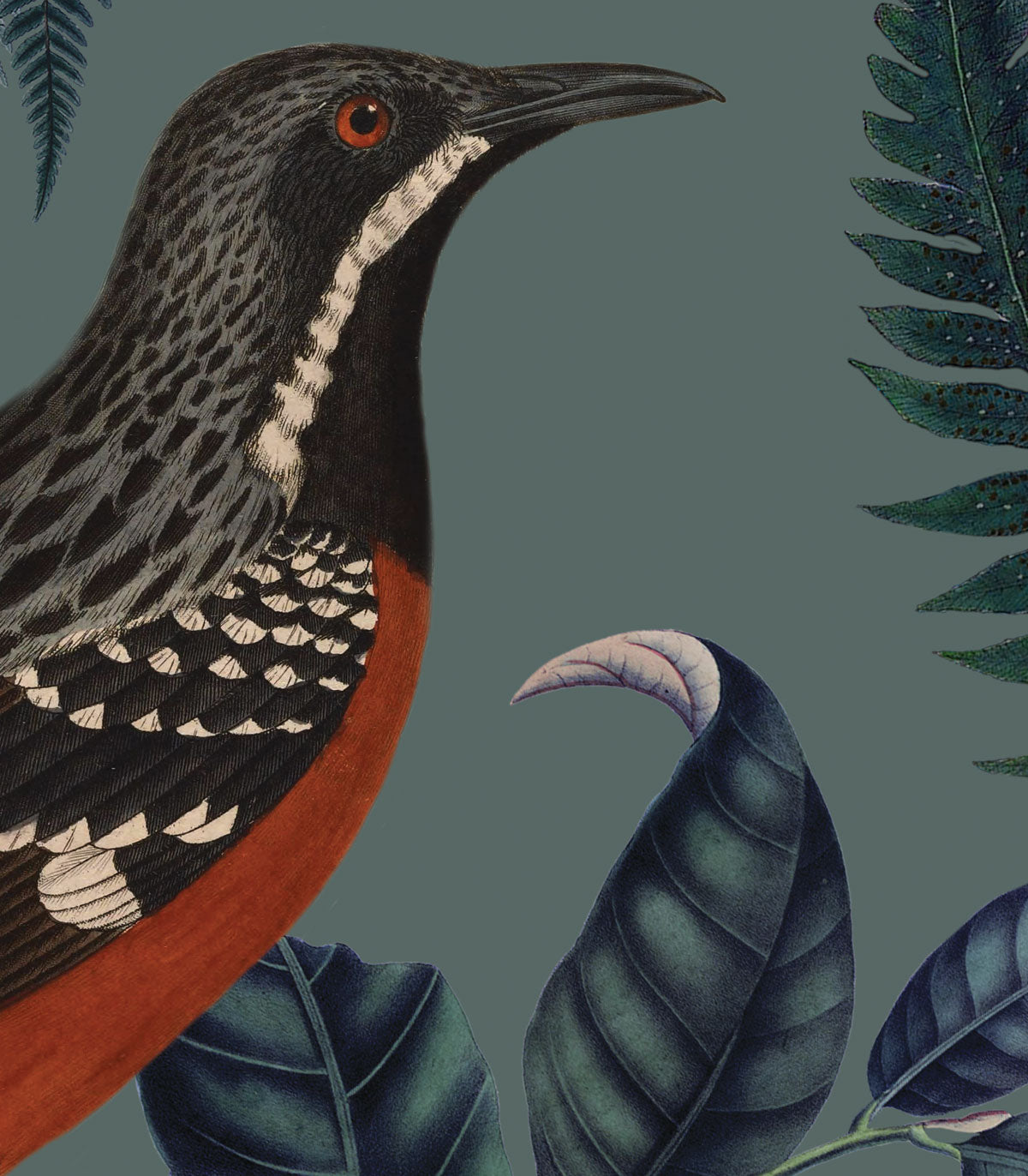 Tapeta Turquoise Fern