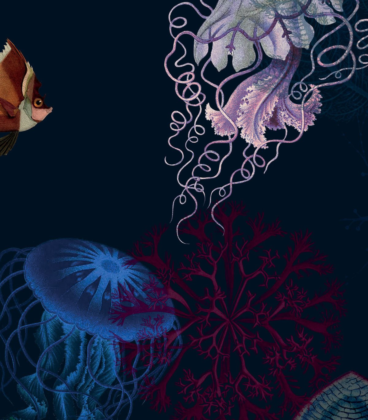 Tapeta Underwater World - Wallcolors®