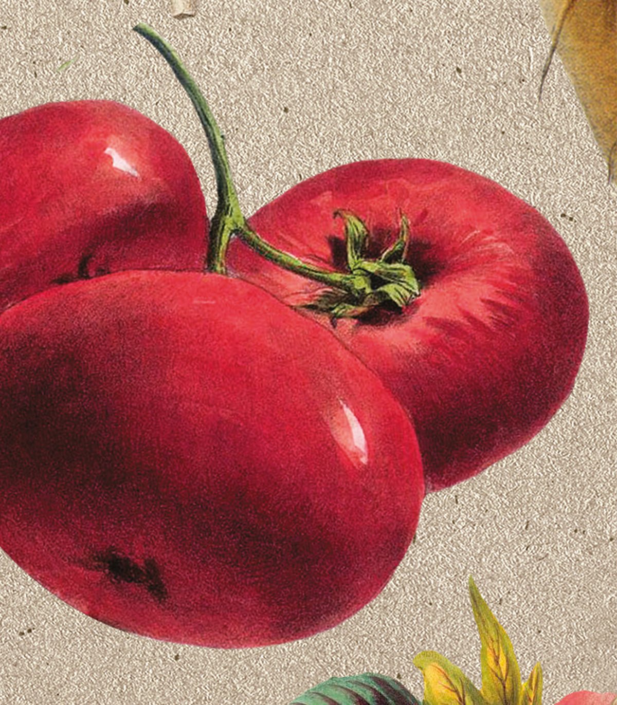 Tapeta Vege - Wallcolors®