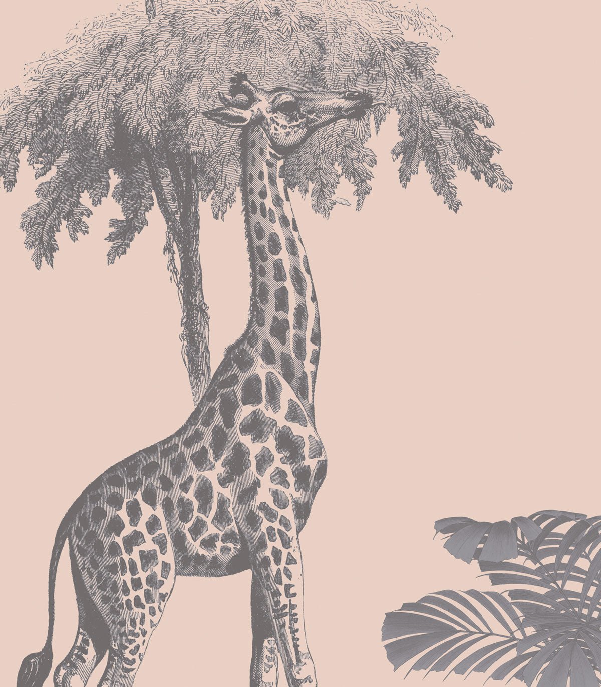 Tapeta Vintage animals pink - Wallcolors®