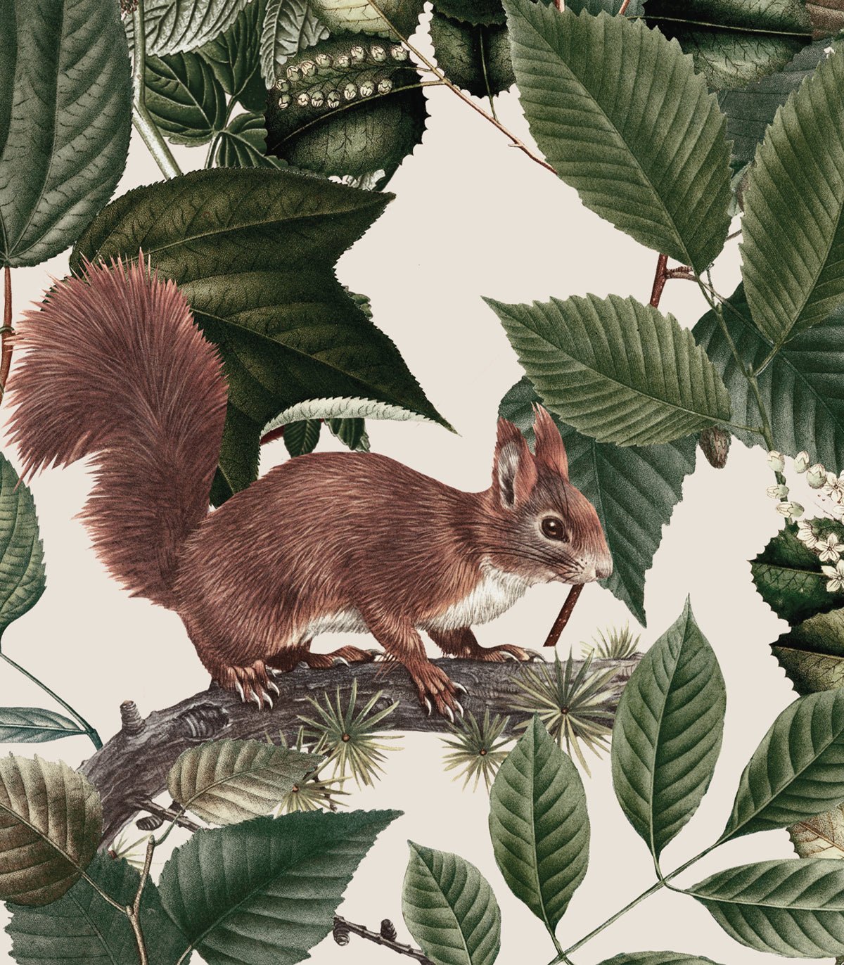 Tapeta Woodland - Wallcolors®