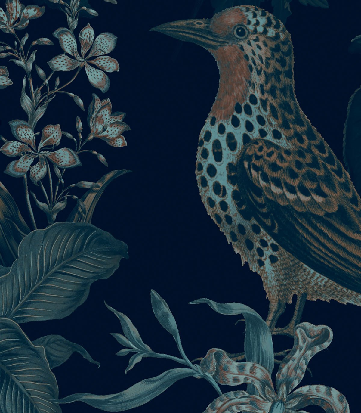Tapeta Botanic - Wallcolors®