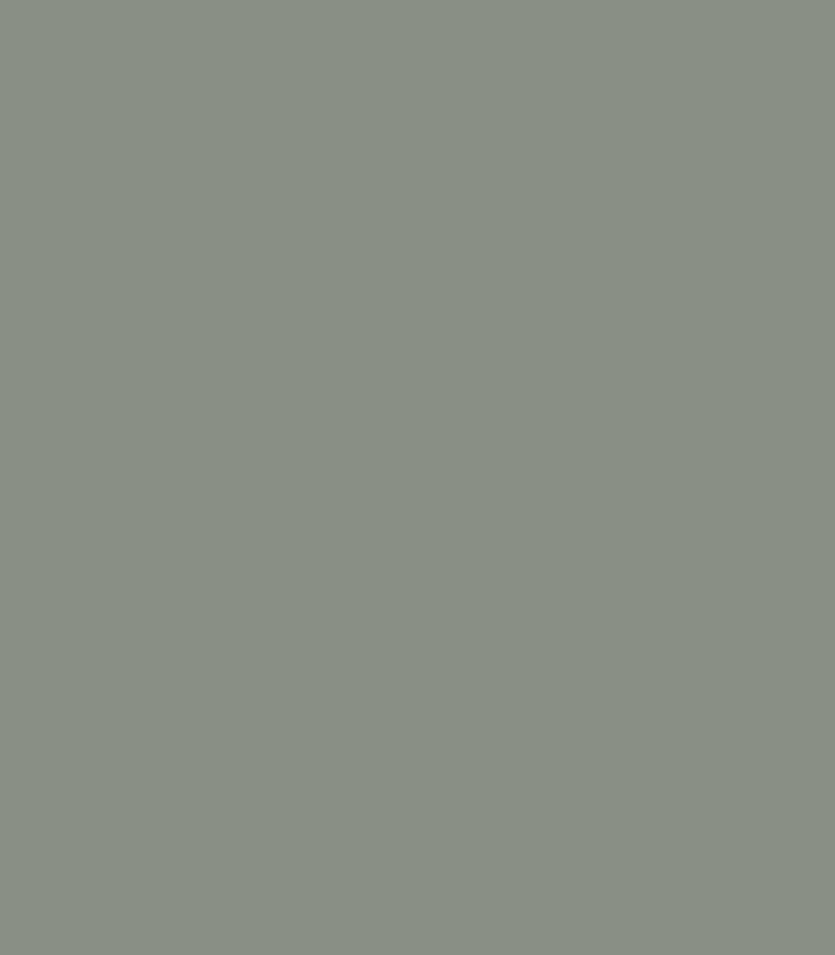 Carolina Gull 2138 - 40 - Wallcolors®