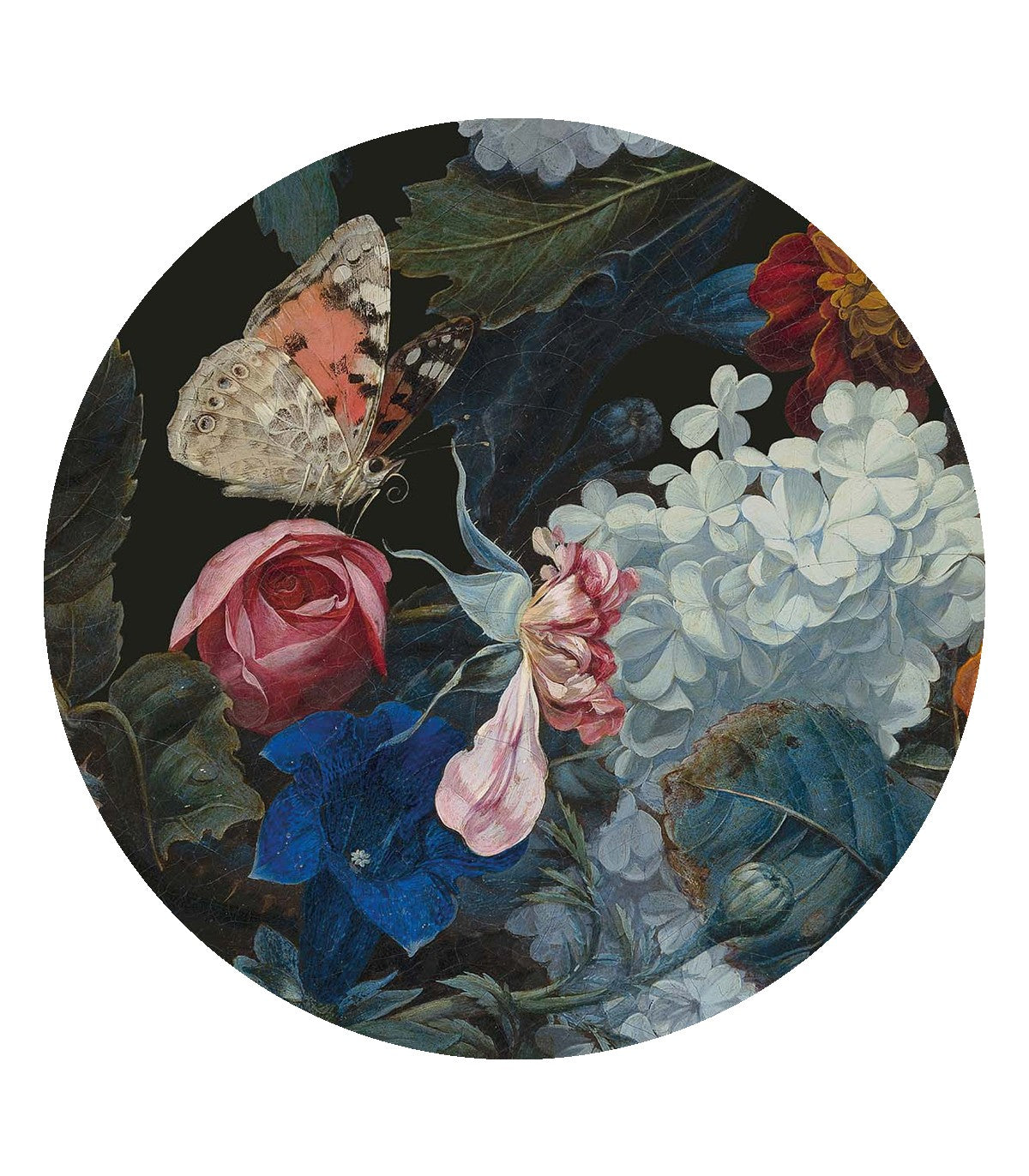 Punkte Libellengarten