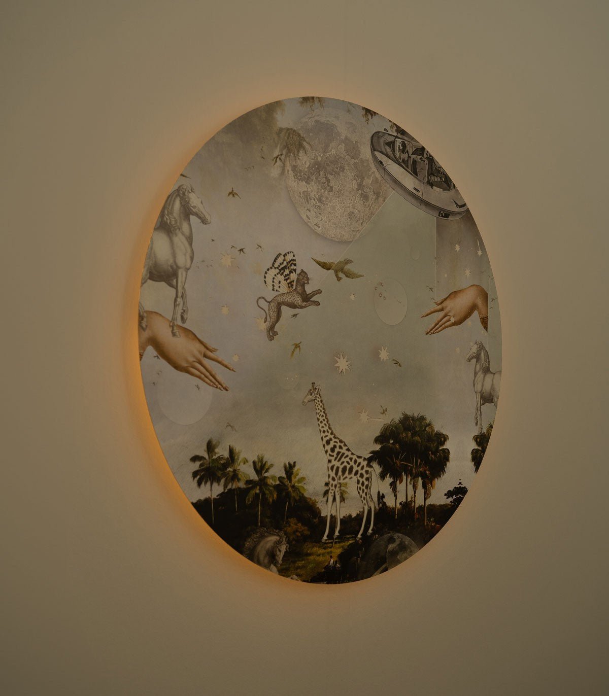 Dots Lighting Stardust safari - Wallcolors®